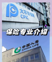 2025年511分能考保险学专业吗