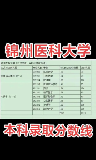 2024年锦州医科大学医疗学院在河南全部专业录取位次、分数线