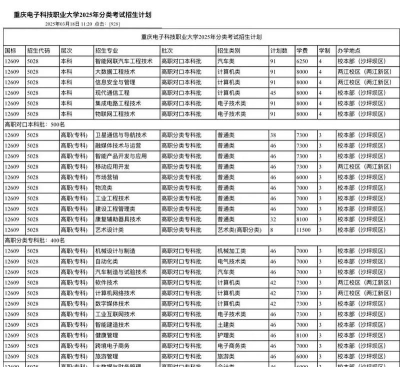 2025音乐生文化课462分能上重庆电子科技职业大学吗