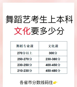 2025舞蹈生文化课500分能上亳州学院吗