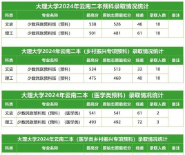 2024年大理大学在云南全部专业录取位次、分数线