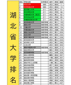 湖北物理类505分能考哪些大学
