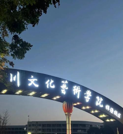 四川文化艺术学院是985还是211