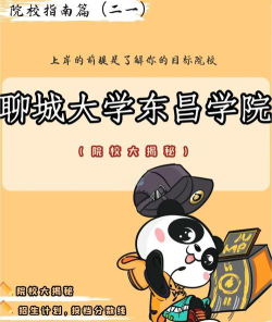 聊城大学东昌学院是一本还是二本