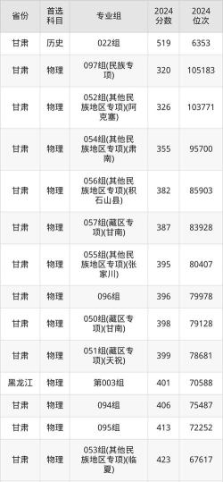 河西学院2024年在湖南各专业录取分数线