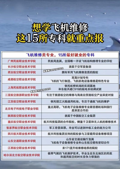 2025年开设飞机结构修理专业大学排名及评级