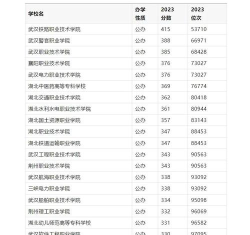 湖北2024年以铁路学校为王牌专业的大专学校有哪些