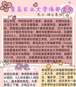 青岛农业大学海都学院财务管理专业怎么样