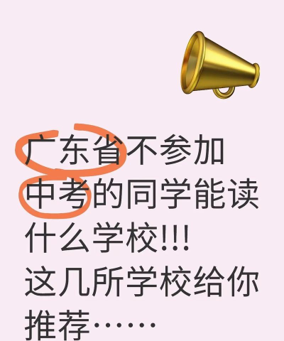没有参加中考的学生能读什么学校 没有参加中考的学生能读什么学校