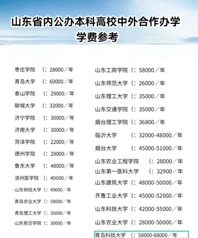 山东大学中外合作办学学费多少钱 山东大学中外合作办学学费多少钱