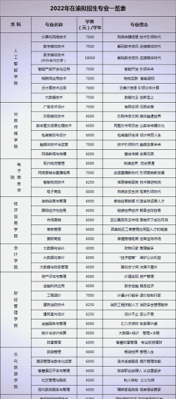 重庆商务职业学院中外合作办学学费多少钱