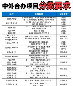 上财中外合作办学多少分