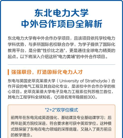 东北电力大学中外合作办学项目有哪些