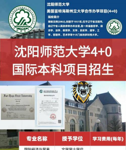 沈师国际本科学费多少钱