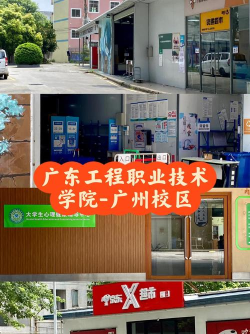 广州工程技术职业学院现代物流管理专业怎么样