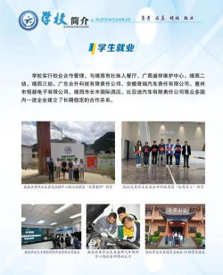 靖西职业技术学校2025年招生专业