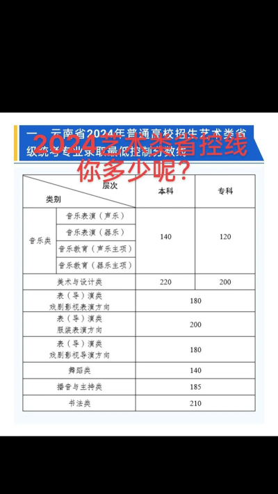 2024云南文化艺术职业学院各省录取分数线是多少