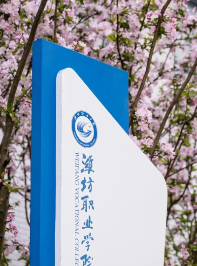 2025潍坊职业学校有哪些