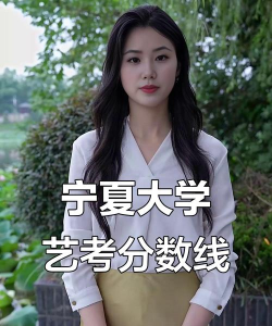 2025美术生文化课595分能上宁夏大学吗