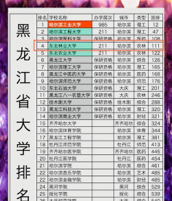 黑龙江物理类523分能考哪些大学