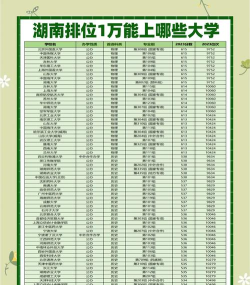 湖南历史类452分能考哪些大学