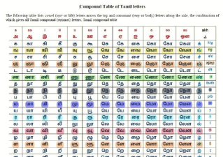 2024年泰米尔语专业要学哪些课程