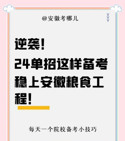 2024年粮食工程专业要学习什么