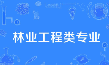 2024年森林工程专业要读几年