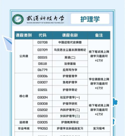 2024年医学美容技术专业代码是什么