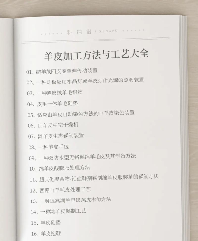 2024年皮革服装制作与工艺专业要学哪些课程