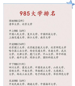 开设国际政治专业的985类大学有几所