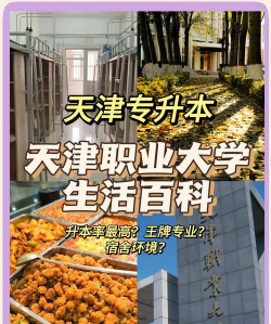 天津市职业大学评价怎么样