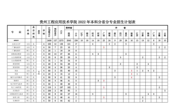 2024年贵州工程应用技术学院在广东计划招生人数