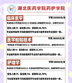 2024年湖北医药学院药护学院有哪些专业比较好