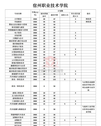 2025年宿州职业技术学院有有哪些专业推荐