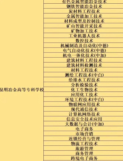 2025年昆明冶金高等专科学校有有哪些专业推荐