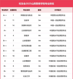 山西开设网络安全与执法专业的大学排名