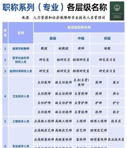 2024专业的排名等级