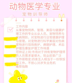 宠物行业对口专业排名