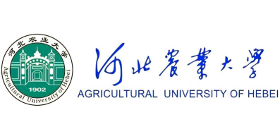 河北农大武术专业好就业吗