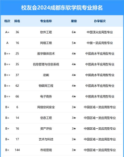 2024东软学院专业排名