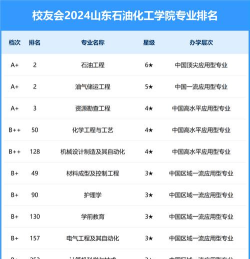 2024年石油化工专业大学排名