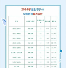 2024湖北学前专业排名大学