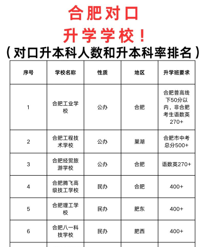 2024年合肥对口专业排名大学