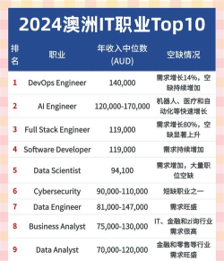 2024年iit专业排名