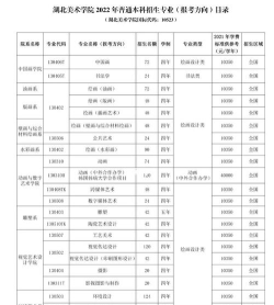 2024年湖美的专业排名