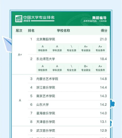 2023艺舞专业排名