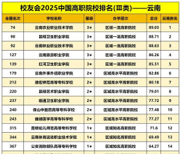 2025年云南高校历史专业排名
