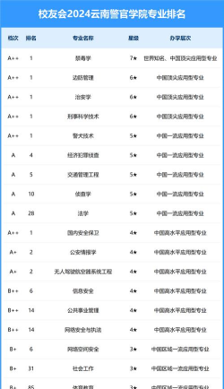 2024年云择校专业排名