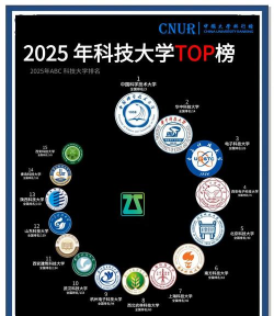 2025年专科芯片类专业排名考研